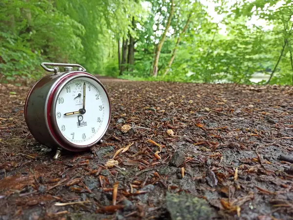 Wecker am Weg von Wolfgang Orth